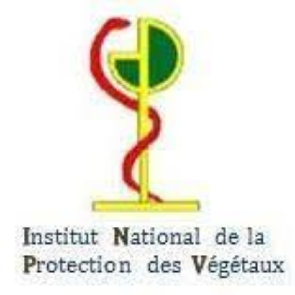 Logo Codex Alimentarius