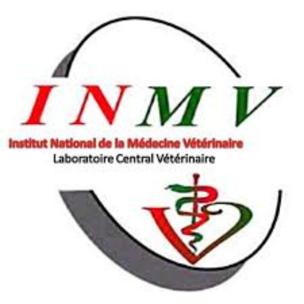 Logo Union Africaine