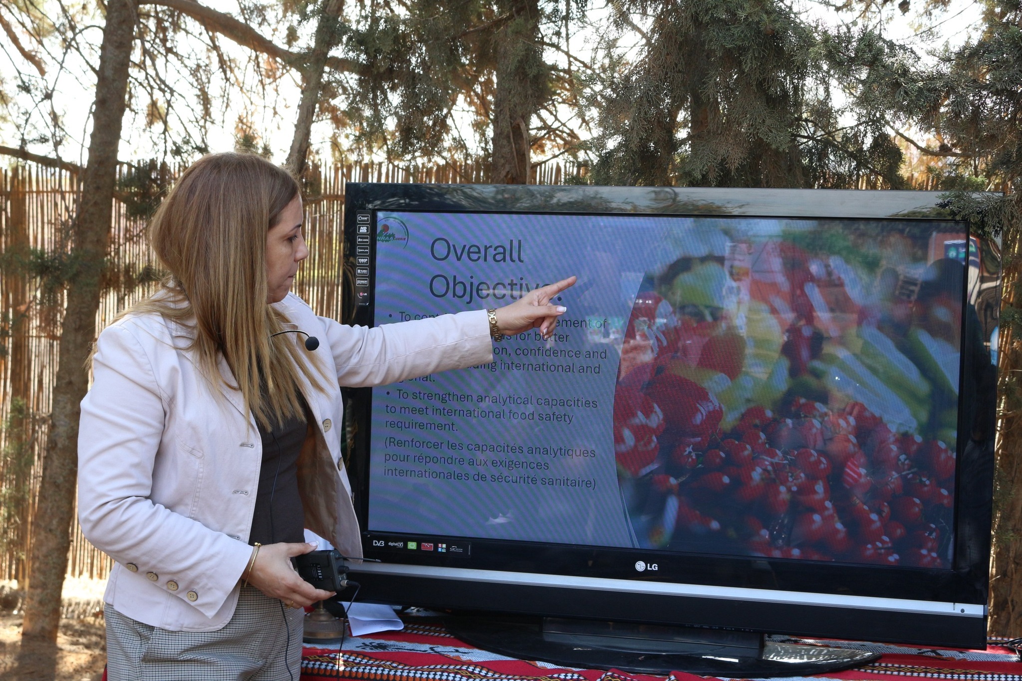 Participants lors de l’atelier – échanges en plénière