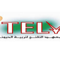 ITELV