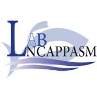 LNCAPPASM